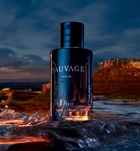 is dior sauvage the best|sauvage dior best price.